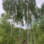 Ferienhaus Wypoczynek Kocia Gora *