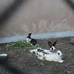 Wypoczynek Kocia Gora Ferienhaus
