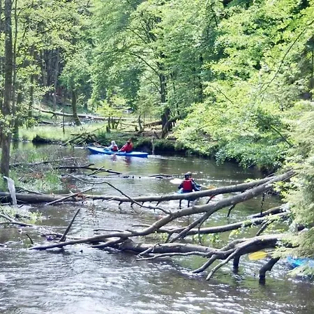 Wypoczynek Kocia Gora Casa vacanze *