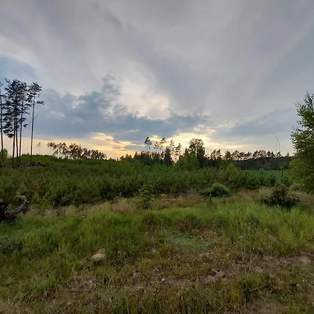 Wypoczynek Kocia Gora