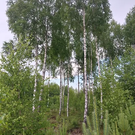 度假居 Wypoczynek Kocia Gora *