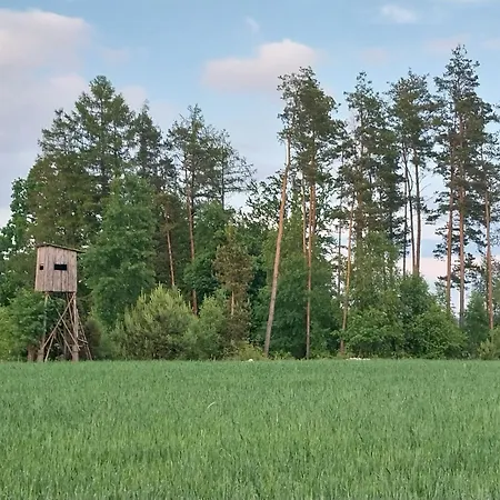 Wypoczynek Kocia Gora Ferienhaus Dziemiany