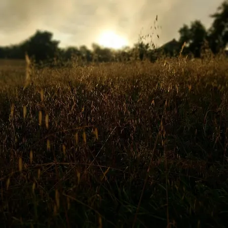 Wypoczynek Kocia Gora *