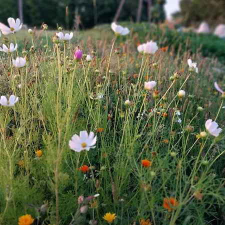 別荘 Wypoczynek Kocia Gora *