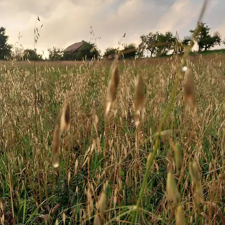 Wypoczynek Kocia Gora *