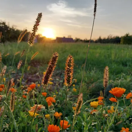 Wypoczynek Kocia Gora Dziemiany