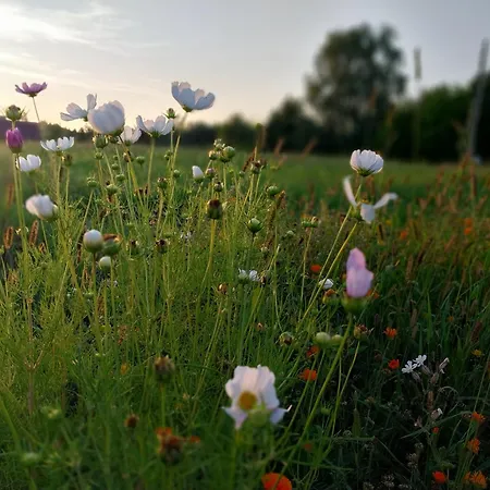 Wypoczynek Kocia Gora * Dziemiany