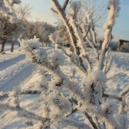 Wypoczynek Kocia Gora 別荘