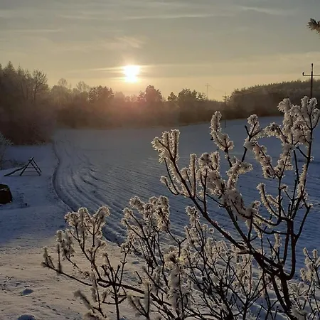 Wypoczynek Kocia Gora 別荘 *