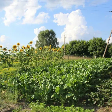 Wypoczynek Kocia Gora