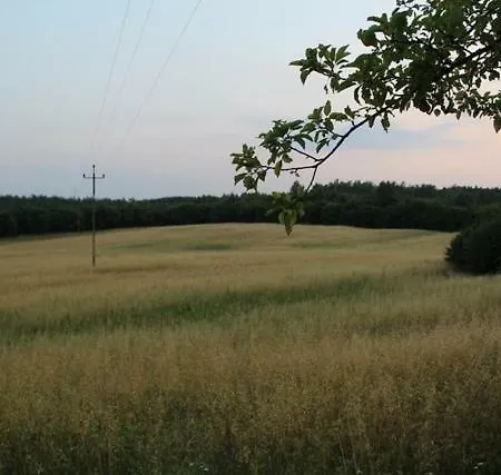 Wypoczynek Kocia Gora Holiday home