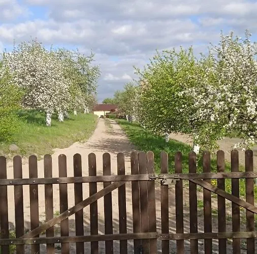 Wypoczynek Kocia Góra * Dziemiany