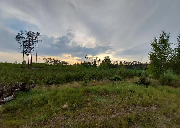 Wypoczynek Kocia Gora