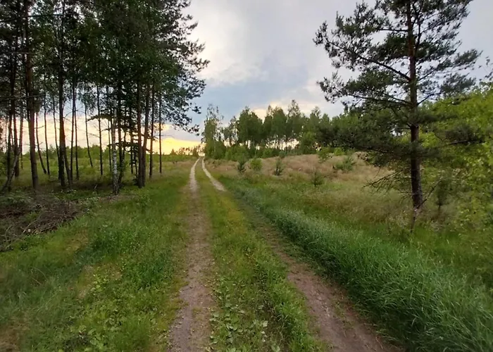 Prázdninový dům Wypoczynek Kocia Gora Dziemiany
