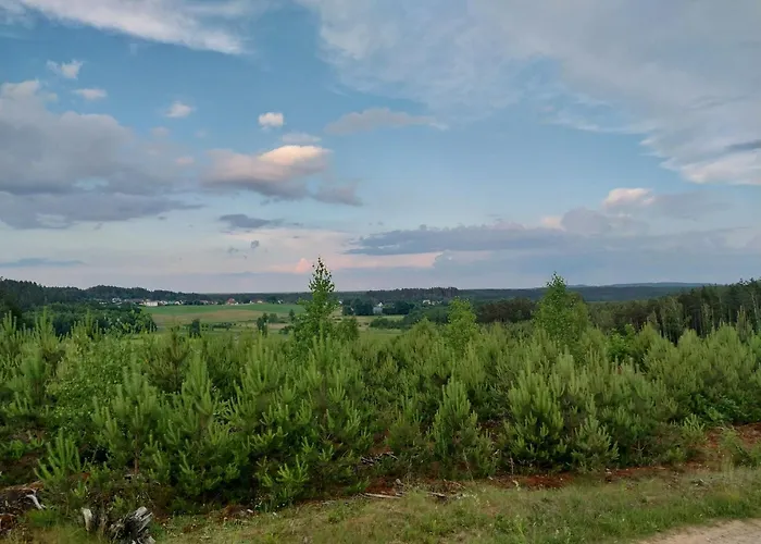 Wypoczynek Kocia Gora Dziemiany