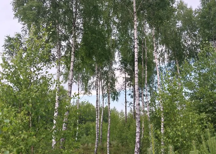 Semesterbostad Wypoczynek Kocia Gora *