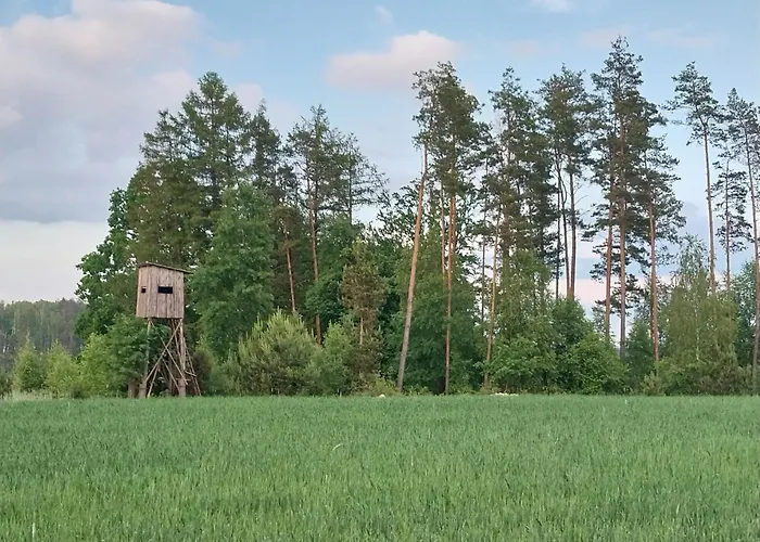 Wypoczynek Kocia Góra Dom wakacyjny Dziemiany
