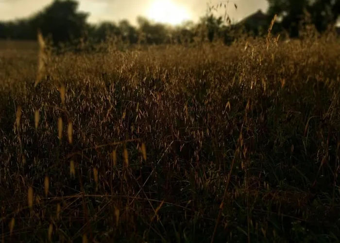 Wypoczynek Kocia Gora *