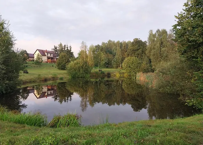 Wypoczynek Kocia Góra * Dziemiany