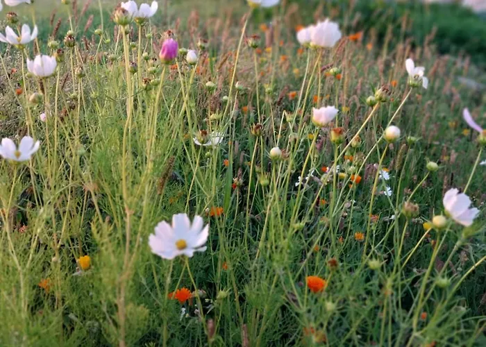 Semesterbostad Wypoczynek Kocia Gora *