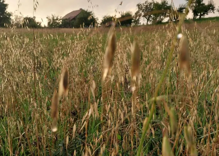 Wypoczynek Kocia Gora *