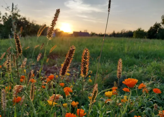 Wypoczynek Kocia Gora Dziemiany