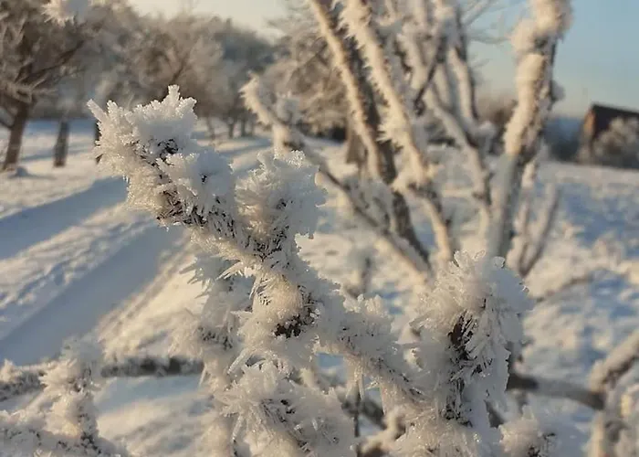 Wypoczynek Kocia Gora Semesterbostad