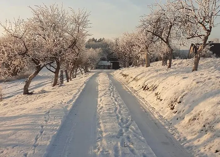 Wypoczynek Kocia Gora Prázdninový dům Dziemiany