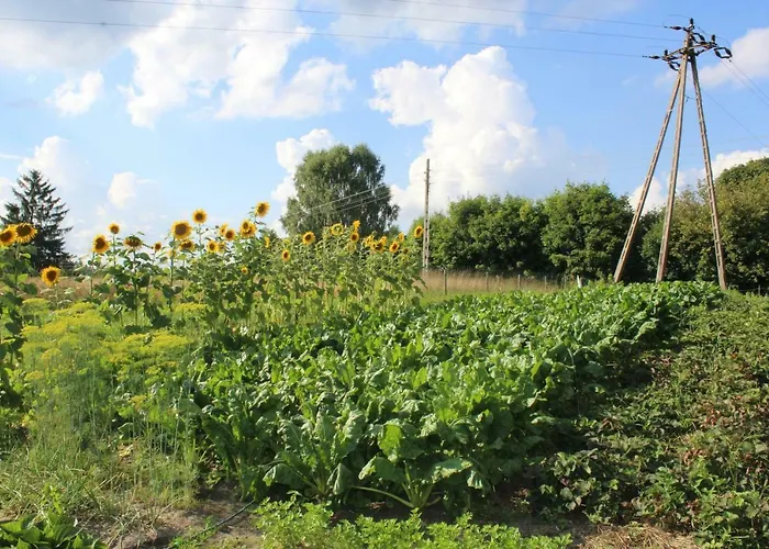Wypoczynek Kocia Gora