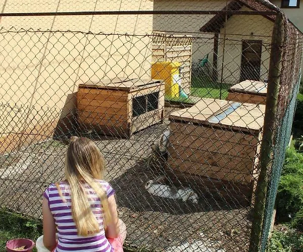 Prázdninový dům Wypoczynek Kocia Gora Dziemiany